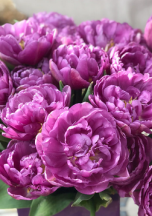 Блу Даймонд