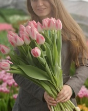 Донателло 